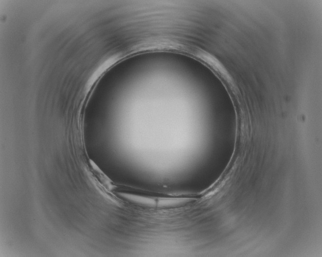 X0000074221242200609151613