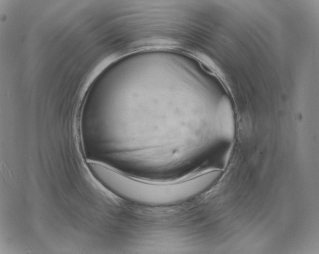 X0000074221243200609151613