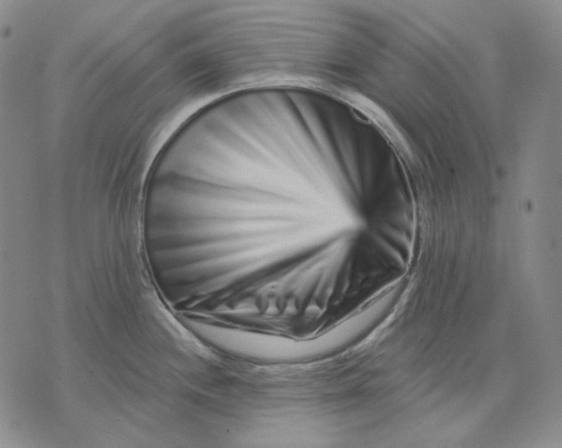 X0000074221244200609151613