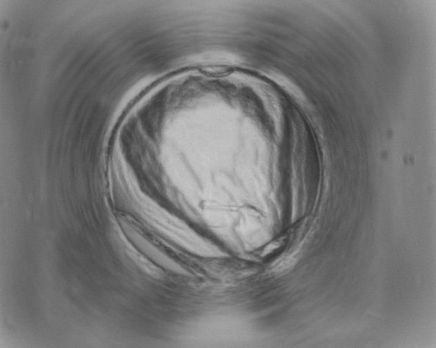X0000074221248200609151613