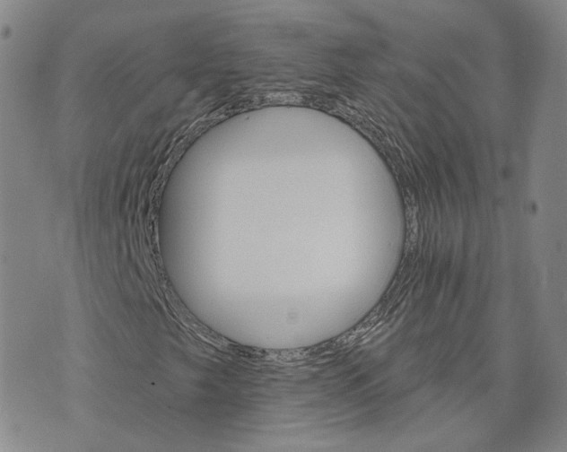 X0000074221249200609151612