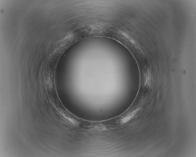 X0000074221250200609151612