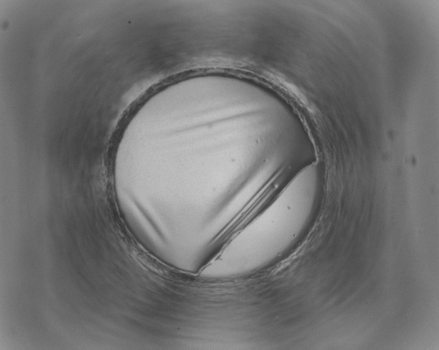 X0000074221264200609151612