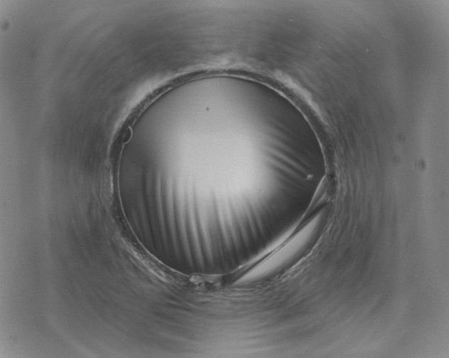 X0000074221270200609151612