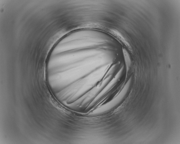 X0000074221276200609151612
