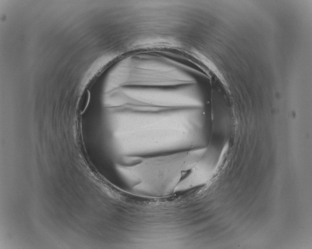 X0000074221277200609151612