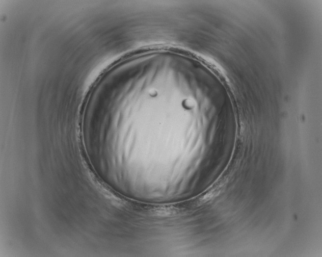 X0000074221279200609151612