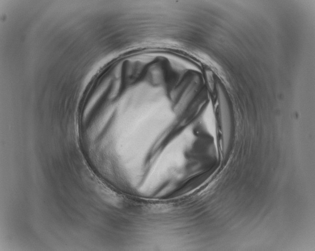 X0000074221280200609151612