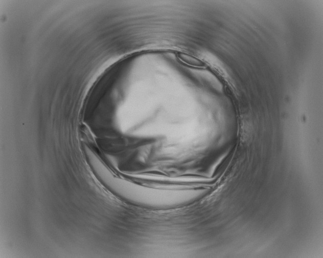 X0000074221284200609151612