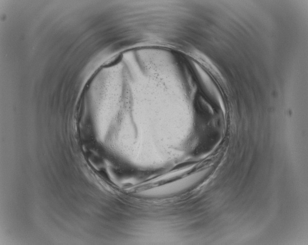 X0000074221292200609151612