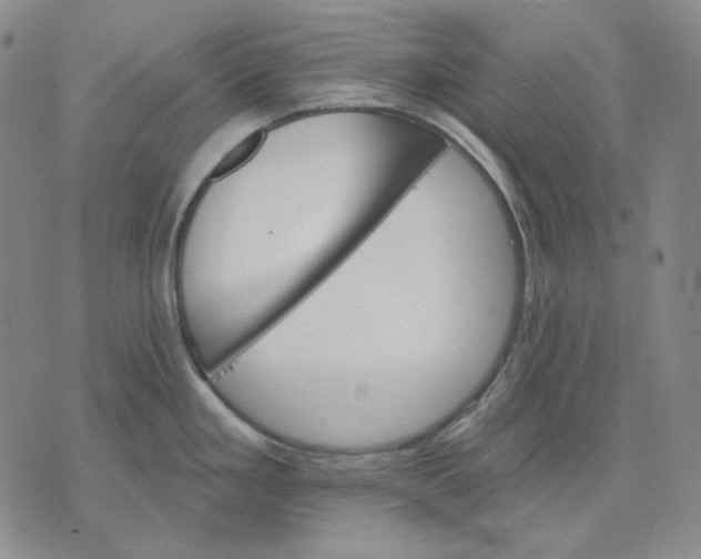X0000074221293200609151612