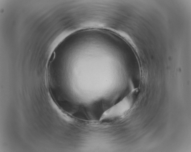 X0000074221295200609151612