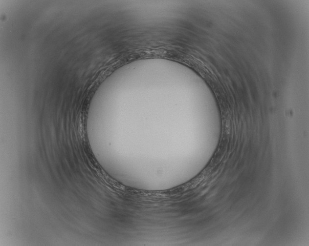 X0000074221298200609151611