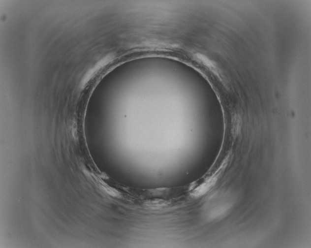 X0000074221307200609151611