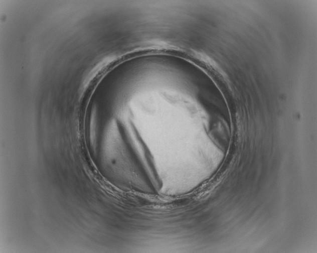 X0000074221318200609151611