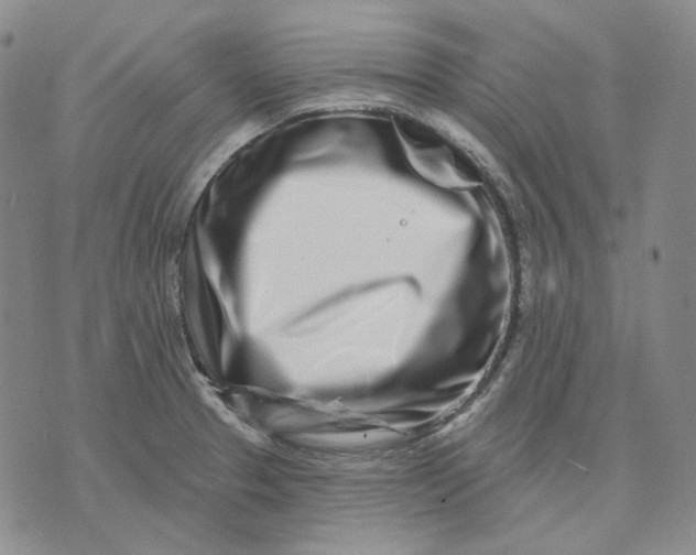 X0000074221329200609151611
