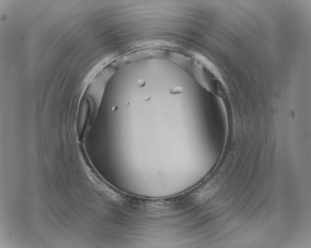 X0000074221330200609151611