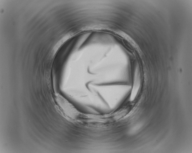X0000074221337200609151612