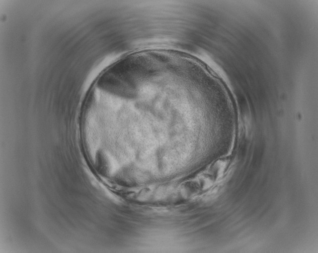 X0000074221341200609151612