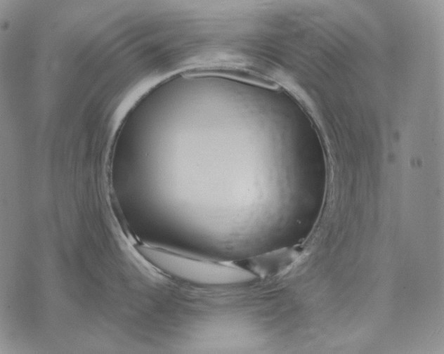 X0000074221344200609151612
