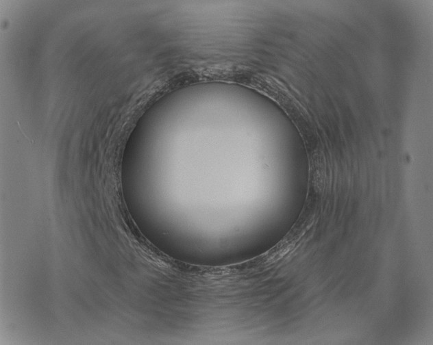 X0000074221345200609151611