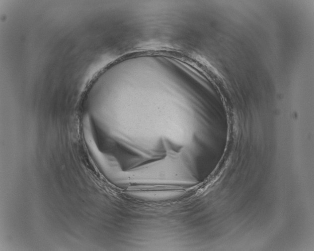X0000074221358200609151611