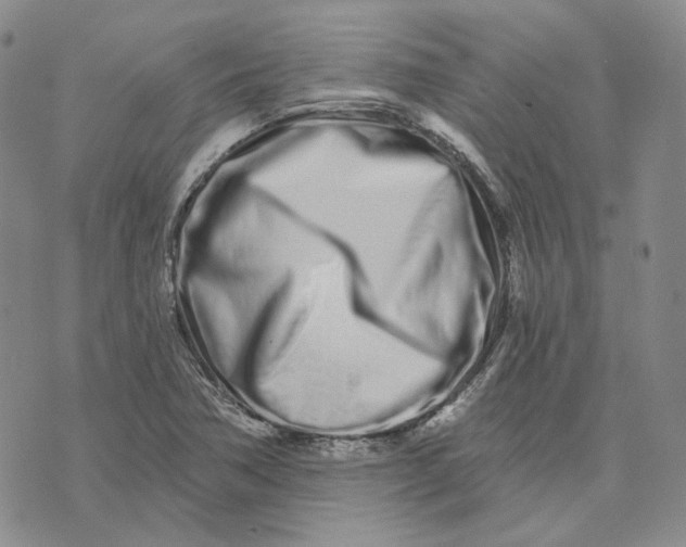 X0000074221362200609151611