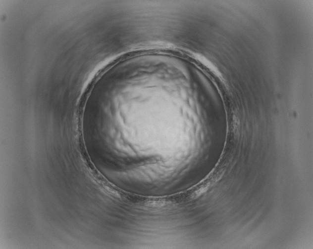 X0000074221364200609151611