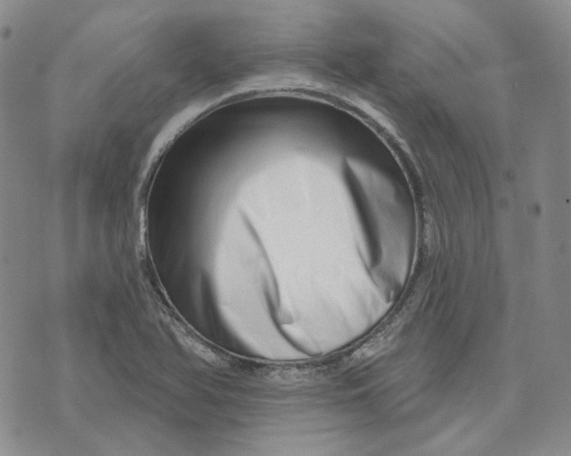X0000074221366200609151611