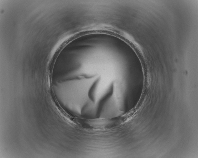 X0000074221368200609151610