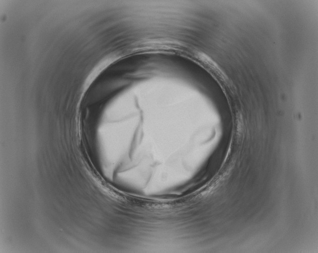 X0000074221370200609151610