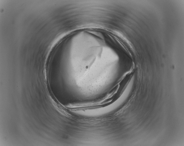 X0000074221372200609151610