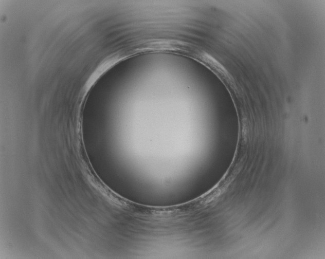 X0000074221378200609151610