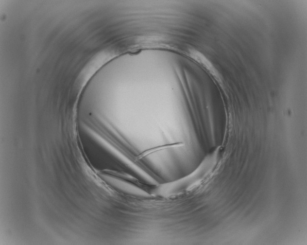X0000074221386200609151610