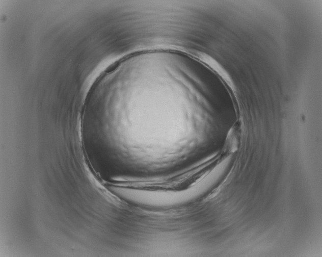X0000074221388200609151610