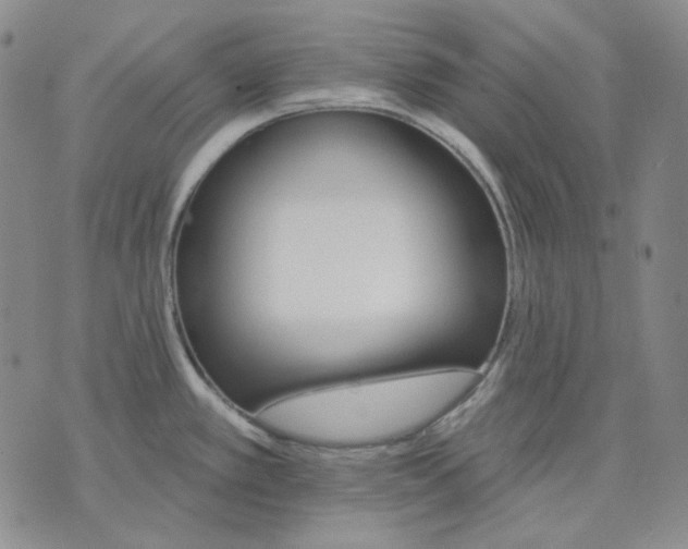 X0000074221389200609151610