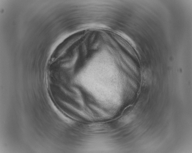 X0000074221391200609151610