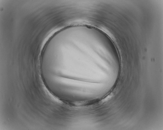 X0000074221392200609151610