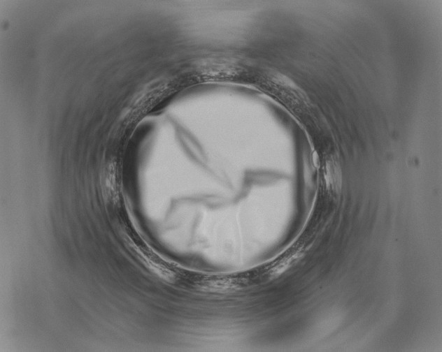 X0000074221396200609151609