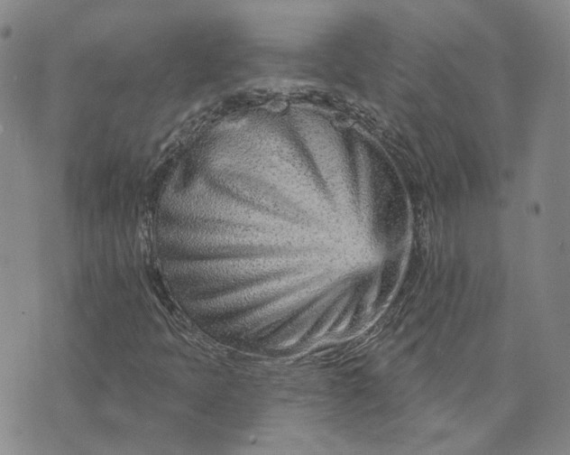 X0000074221397200609151609