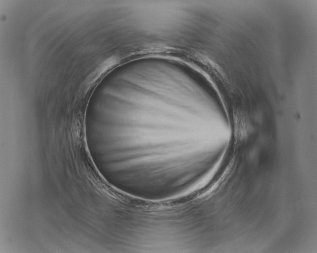 X0000074221401200609151609