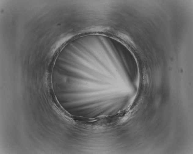 X0000074221404200609151610