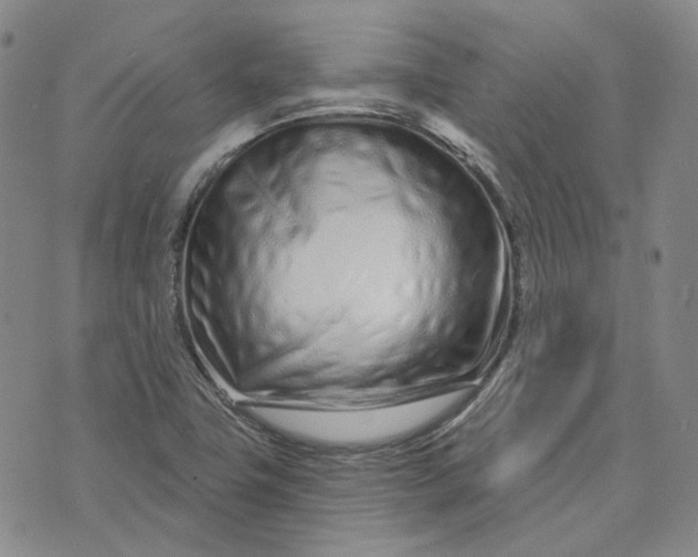 X0000074221411200609151610