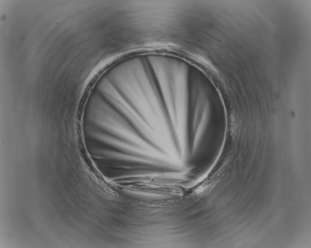 X0000074221412200609151610