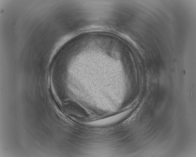 X0000074221413200609151610