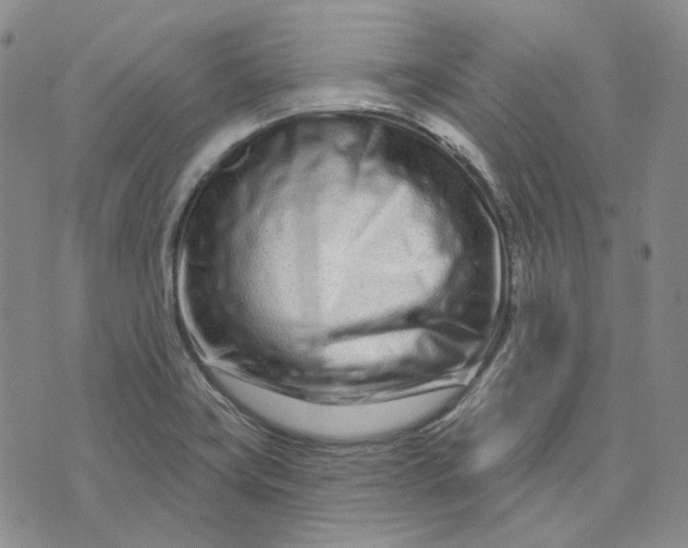 X0000074221419200609151610