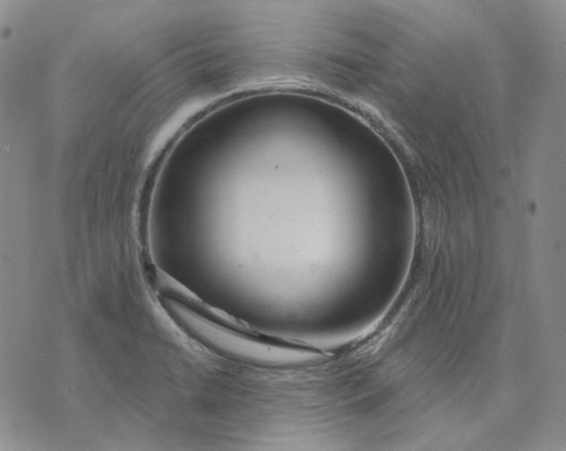 X0000074221422200609151610