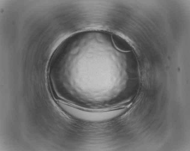 X0000074221423200609151610
