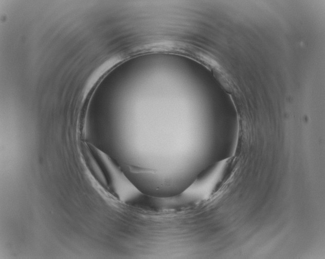 X0000074221426200609151610