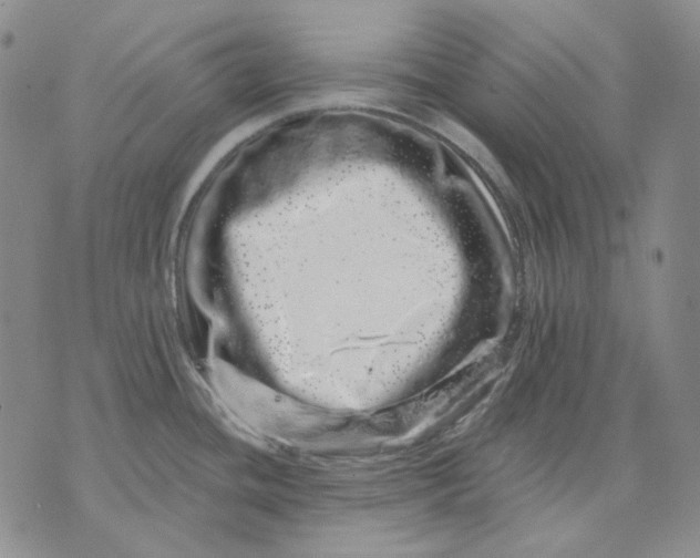 X0000074221436200609151610